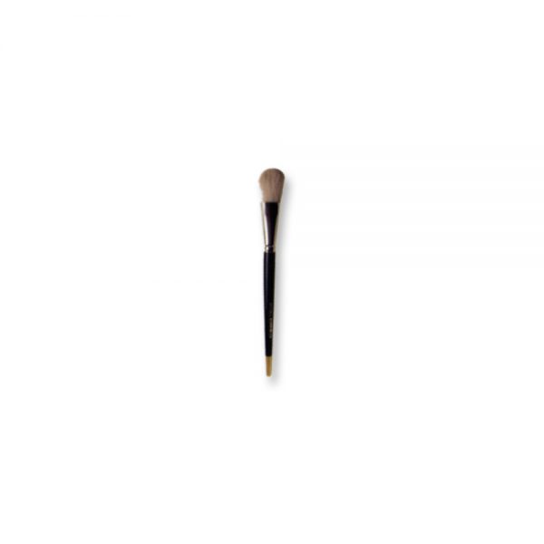 Face Brush