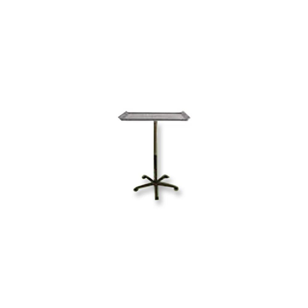 Stainless Tray w/Stand and Wheels in Silver