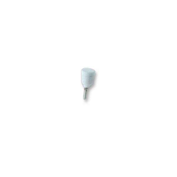 Brush