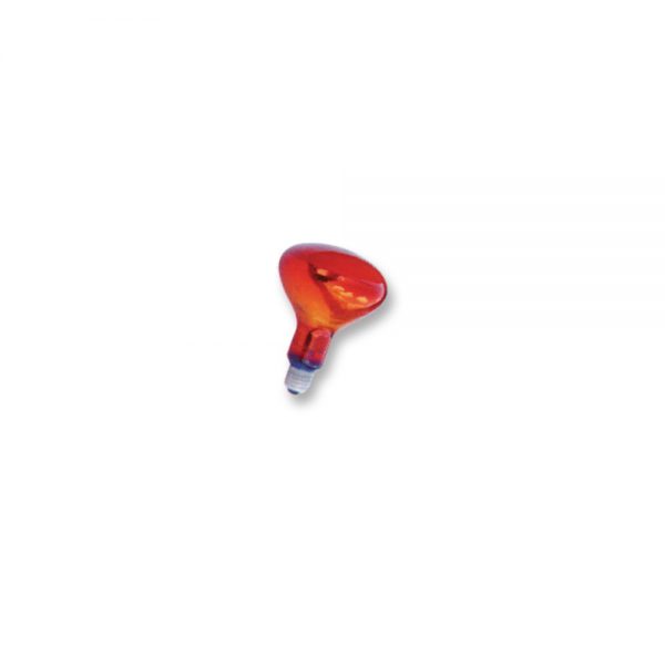 Infra Red Bulb