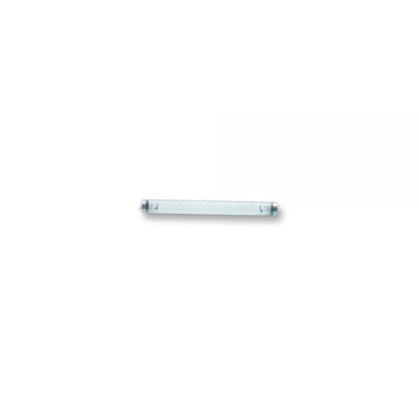 Ozone Lamp