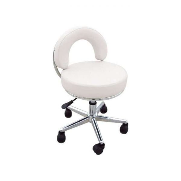 Hydraulic Stool w/back