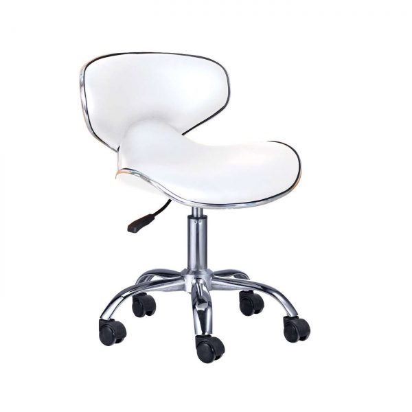 Hydraulic Stool w/back